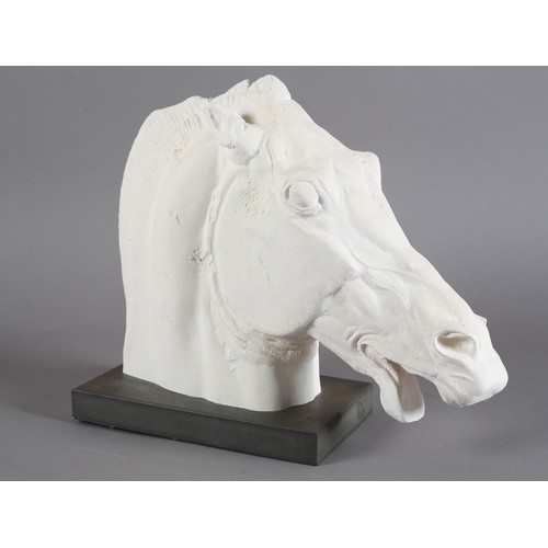 99 - Horse of Selene from the east pediment of the Parthenon, after the antique, gypsum plaster hand carv... 