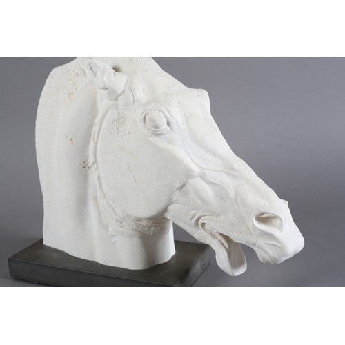 99 - Horse of Selene from the east pediment of the Parthenon, after the antique, gypsum plaster hand carv... 