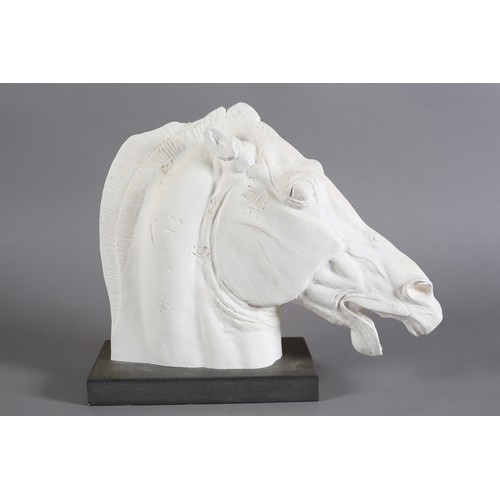 99 - Horse of Selene from the east pediment of the Parthenon, after the antique, gypsum plaster hand carv... 