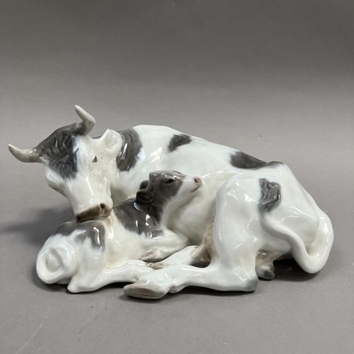 1 - A Royal Copenhagen group of cow and calf modelled by Knud Kyhn, no.800 and mark to underside, 27cm w... 