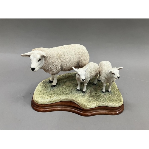 31 - A Border Fine Arts figure group,  'Texel Ewe and Lambs' no.B0658, by Jack Crewdson, limited edition ... 