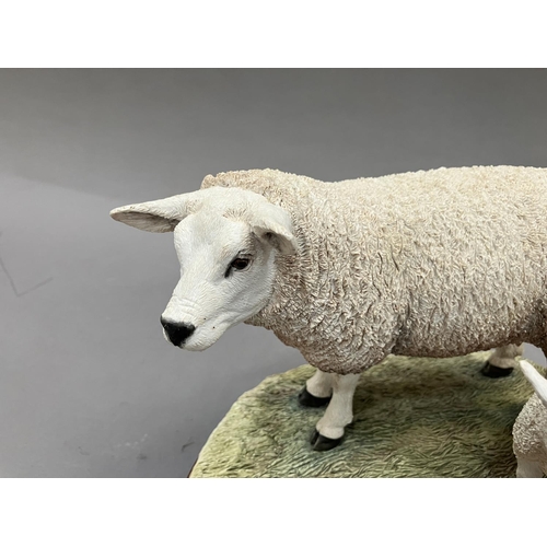 31 - A Border Fine Arts figure group,  'Texel Ewe and Lambs' no.B0658, by Jack Crewdson, limited edition ... 