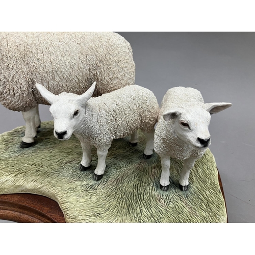 31 - A Border Fine Arts figure group,  'Texel Ewe and Lambs' no.B0658, by Jack Crewdson, limited edition ... 