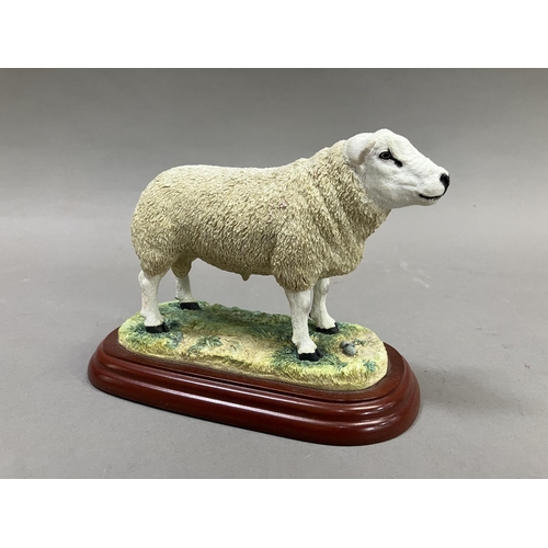 39 - Border Fine Art Texel Ram A0736, 12.5cm high