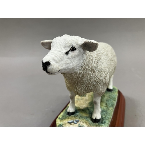 39 - Border Fine Art Texel Ram A0736, 12.5cm high