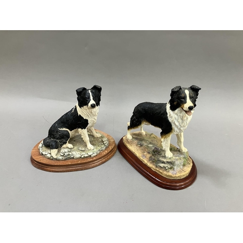 41 - Two Border Fine Arts figures of Collies, no.A2649 and no.M107, on wooden plinths (2)