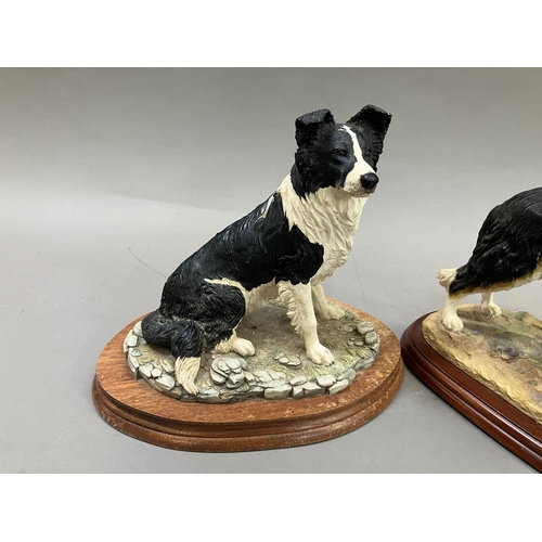 41 - Two Border Fine Arts figures of Collies, no.A2649 and no.M107, on wooden plinths (2)