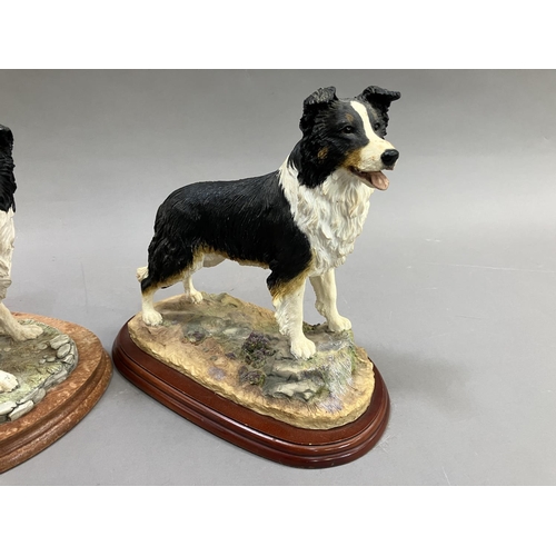 41 - Two Border Fine Arts figures of Collies, no.A2649 and no.M107, on wooden plinths (2)