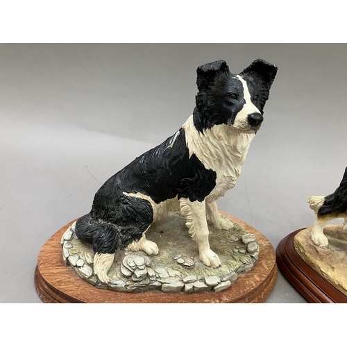 41 - Two Border Fine Arts figures of Collies, no.A2649 and no.M107, on wooden plinths (2)