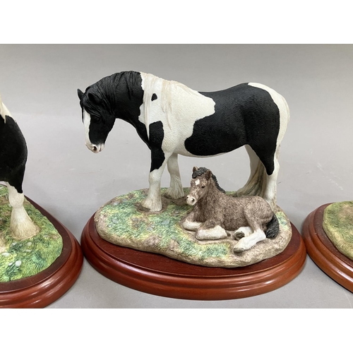 48 - A collection of Border Fine Arts figure groups comprising 'Coloured Mare and Foal', 'Coloured Mare' ... 