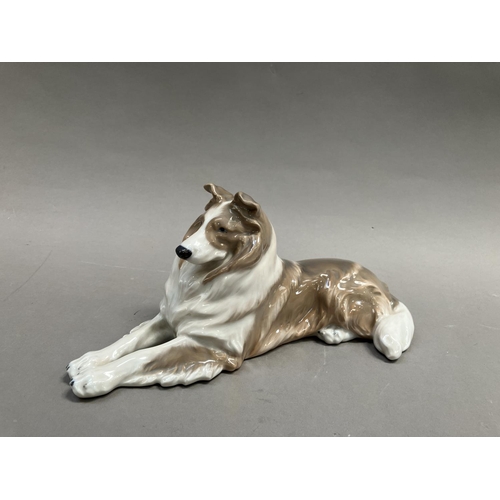 4 - A Royal Copenhagen model of a collie reclining, modelled by Peter Herold, no. 1701, date code 1956, ... 