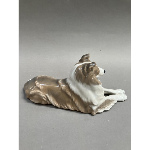 4 - A Royal Copenhagen model of a collie reclining, modelled by Peter Herold, no. 1701, date code 1956, ... 