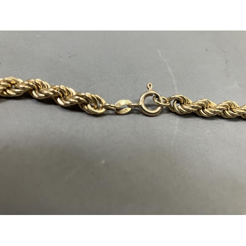 275 - A neck chain in 9ct gold, hollow rope links, approx. length 46cm, approx. weight 12.5g