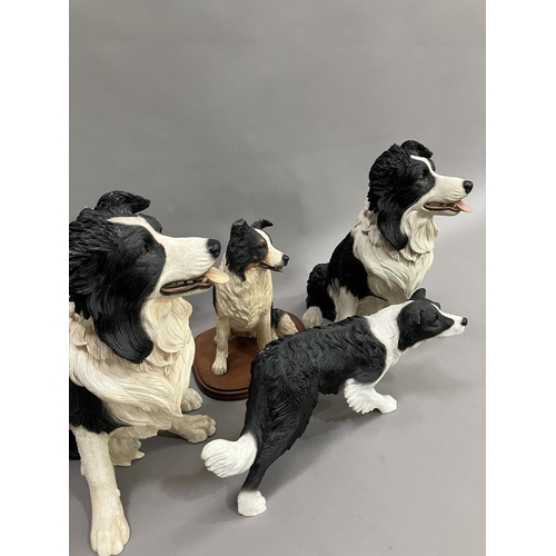 118 - A pair of large models of border collies 37cm high, together with two smaller examples, one on a bas... 