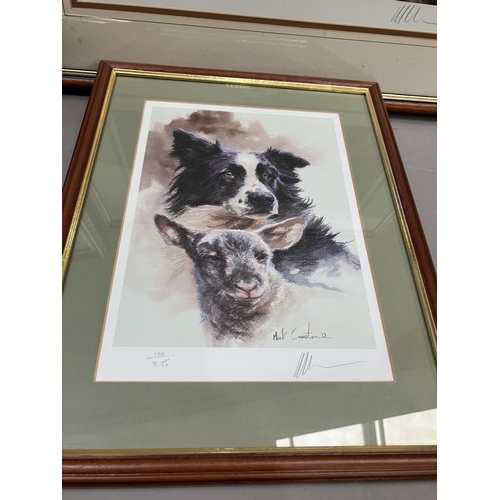 348 - After Mick Cawston, four limited edition signed prints, of sheepdogs and farmer (4)