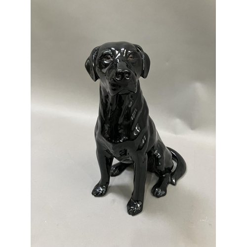 53 - A large Beswick seated black Labrador no.2314, 33cm high