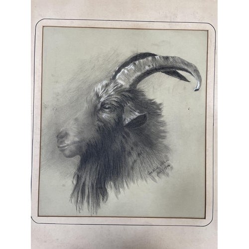 156 - A portfolio of mounted portraits in charcoal by Gertrude Sykes, of people and animals, signed and da... 