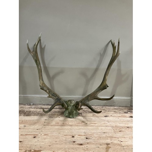 168 - Antlers/ horns: adult red deer stag antlers on upper skull, fifteen points (A/F) 160cm wide x 101cm ... 