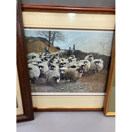 298 - After Pat Cleary, print of sheep, signed to lower left, 36cm x 56cm, after John Neale, print of a la... 