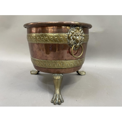 42 - A copper and brass banded jardiniere having lion mask ring pull handles on three paw feet, 24.5cm hi... 