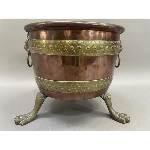 42 - A copper and brass banded jardiniere having lion mask ring pull handles on three paw feet, 24.5cm hi... 