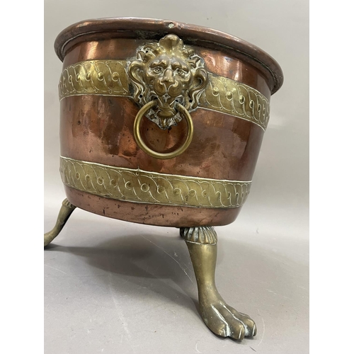 42 - A copper and brass banded jardiniere having lion mask ring pull handles on three paw feet, 24.5cm hi... 