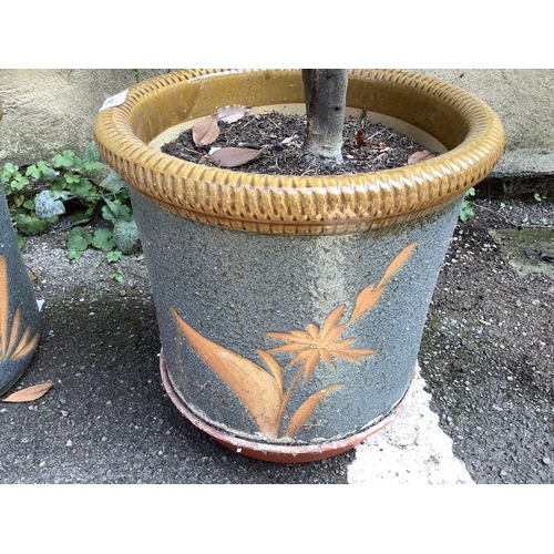 105 - A pair of blue and light brown ceramic glazed pots containing two twisted lollipop bay trees