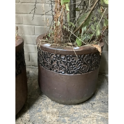 107 - A pair of brown, salt-glazed terracotta plant pots containing two shrubs