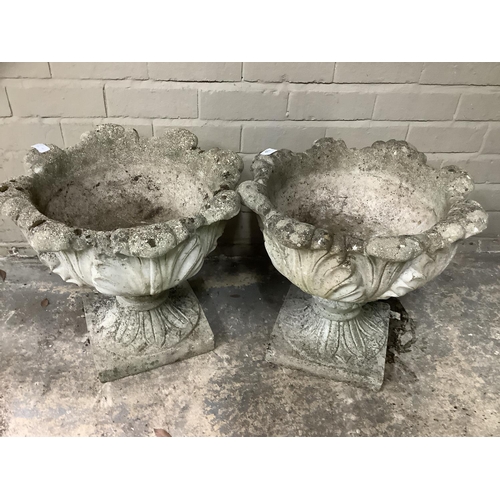 109 - A pair of cast garden planters formed of acanthus leaves with swept socles on square bases