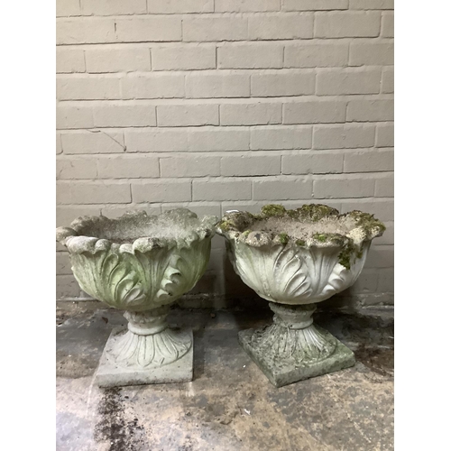 110 - A pair of cast, garden planters formed of acanthus leaves with a swept socles with  square bases