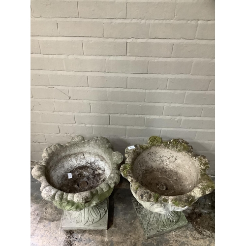 110 - A pair of cast, garden planters formed of acanthus leaves with a swept socles with  square bases