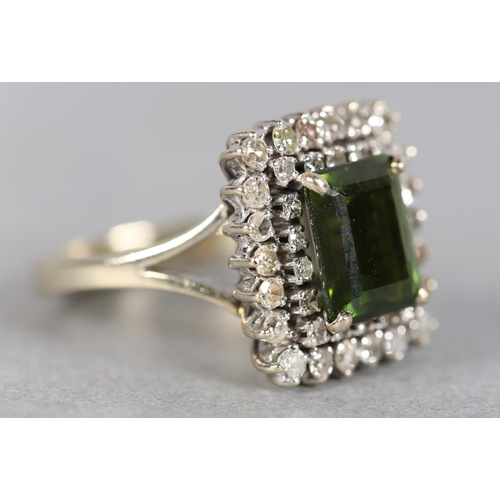 244 - A TOURMALINE AND DIAMOND CLUSTER RING c.1960, the step cut tourmaline claw set to the centre and rai... 