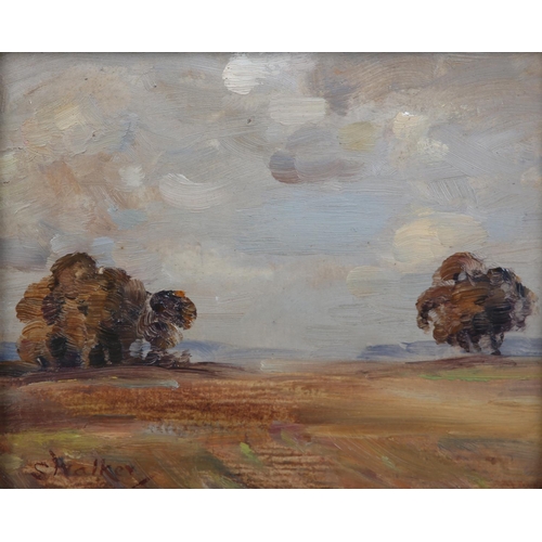 282 - S* WALKER (Late 19th centuty English), 'Autumn', impressionist landscape with autumn trees, oil on b... 