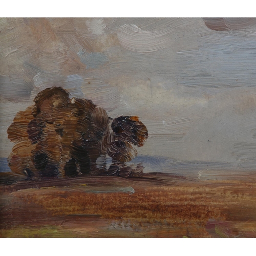 282 - S* WALKER (Late 19th centuty English), 'Autumn', impressionist landscape with autumn trees, oil on b... 