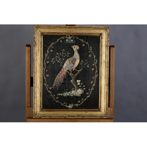 75 - A GEORGE III/IV SILK EMBROIDERY of an exotic bird of colourful plumage, perched in a blossom tree wi... 