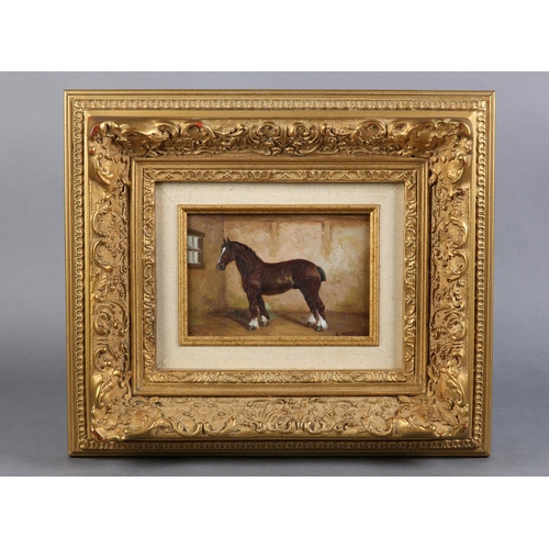 283 - C* HARRISON MID 20TH CENTURY, Study of a shire horse in a stable, oil on board, signed to lower righ... 