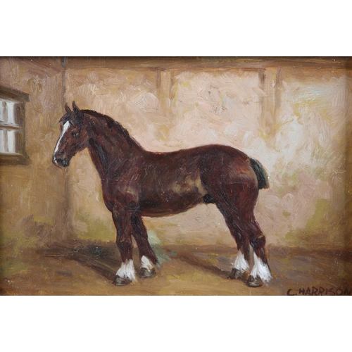 283 - C* HARRISON MID 20TH CENTURY, Study of a shire horse in a stable, oil on board, signed to lower righ... 