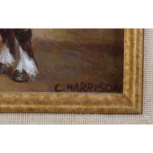 283 - C* HARRISON MID 20TH CENTURY, Study of a shire horse in a stable, oil on board, signed to lower righ... 