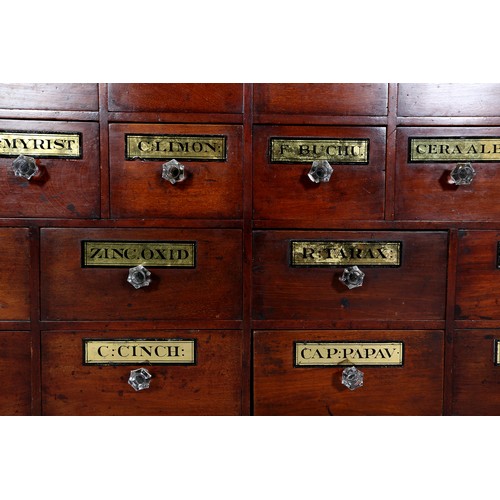 372 - A 19TH CENTURY BANK OF MAHOGANY APOTHECARY DRAWERS, each having a gilt and black label lettered with... 