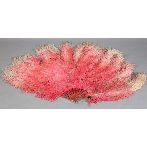 38 - An exceptionally large 1920’s feather fan dancer’s fan, shaded from rose pink to pale pink/cream, cu... 