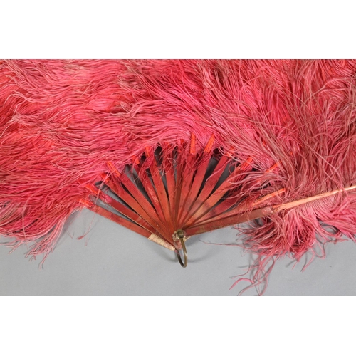 38 - An exceptionally large 1920’s feather fan dancer’s fan, shaded from rose pink to pale pink/cream, cu... 