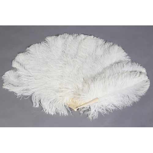 40 - A very large and fluffy white ostrich feather fan, the monture of cream celluloid, the long feathers... 