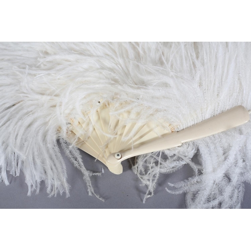 40 - A very large and fluffy white ostrich feather fan, the monture of cream celluloid, the long feathers... 