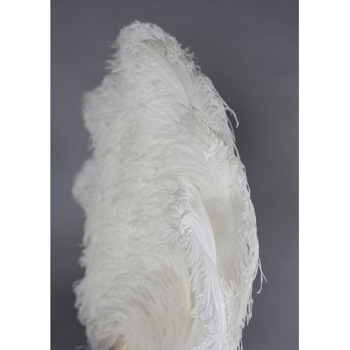 40 - A very large and fluffy white ostrich feather fan, the monture of cream celluloid, the long feathers... 