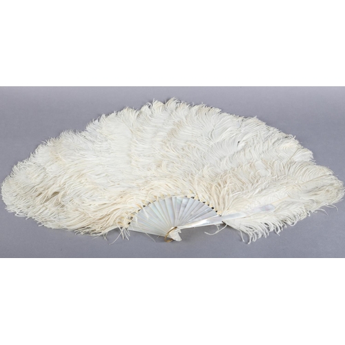 43 - C 1900, a good white ostrich feather fan with mother of pearl monture, the head and should attractiv... 