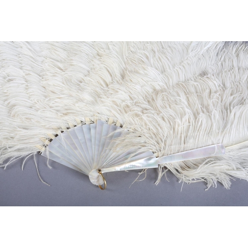 43 - C 1900, a good white ostrich feather fan with mother of pearl monture, the head and should attractiv... 