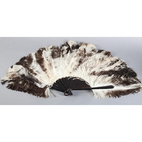 44 - A good, large female ostrich feather fan, the attractive feathers mounted on tortoiseshell, the head... 