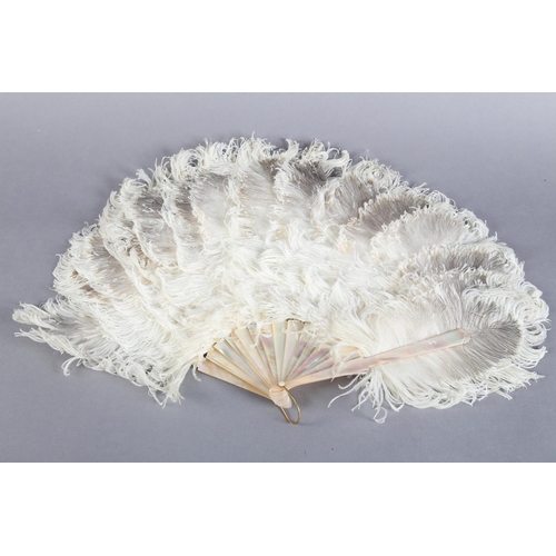 46 - A cream feather fan c 1900, ostrich and possibly marabou, or simply shaved to give a light and fluff... 