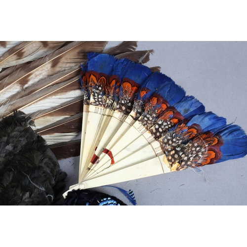 47 - Five feather fans: a small, shaped, Jay feather fan mounted on tortoiseshell, overall height approx.... 