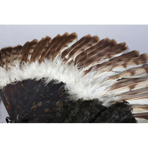 47 - Five feather fans: a small, shaped, Jay feather fan mounted on tortoiseshell, overall height approx.... 